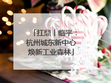 扛鼎丨临平：杭州城东新中心焕新工业森林