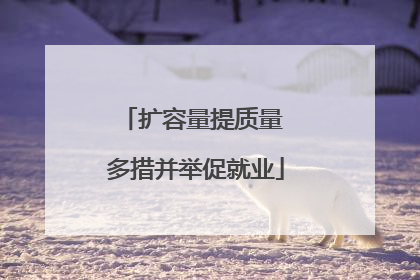 扩容量提质量 多措并举促就业