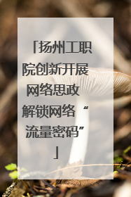 扬州工职院创新开展网络思政 解锁网络“流量密码”
