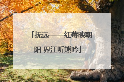 抚远——红莓映朝阳 界江听熊吟