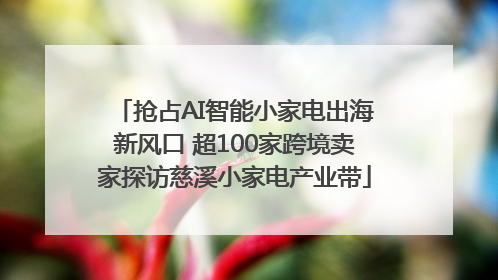 抢占AI智能小家电出海新风口 超100家跨境卖家探访慈溪小家电产业带