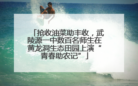 抢收油菜助丰收，武陵源一中数百名师生在黄龙洞生态田园上演“青春助农记”
