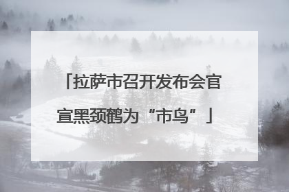 拉萨市召开发布会官宣黑颈鹤为“市鸟”