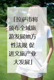 拉萨市将颁布全域旅游发展地方性法规 促进文旅产业大发展
