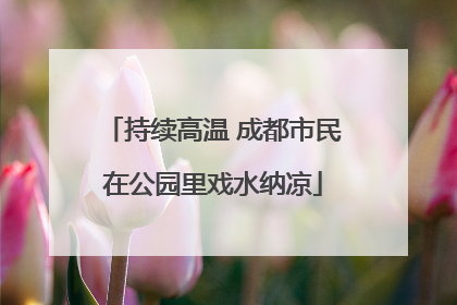 持续高温 成都市民在公园里戏水纳凉