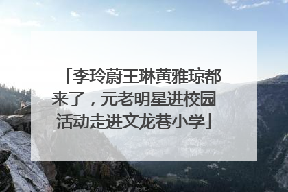 李玲蔚王琳黄雅琼都来了，元老明星进校园活动走进文龙巷小学