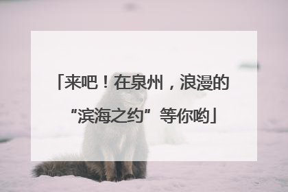 来吧！在泉州，浪漫的“滨海之约”等你哟