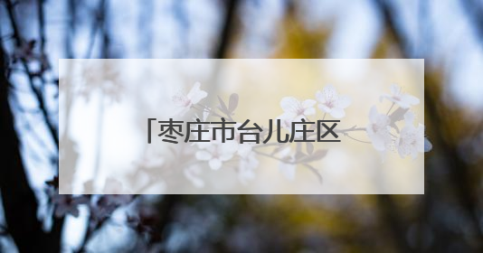 枣庄市台儿庄区图书馆、博物馆开馆仪式举行