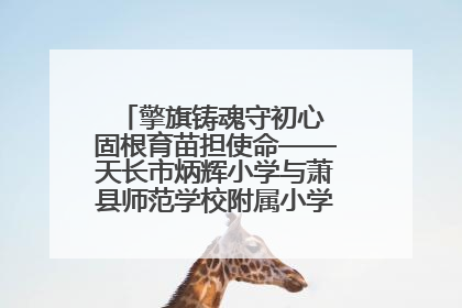 擎旗铸魂守初心 固根育苗担使命——天长市炳辉小学与萧县师范学校附属小学结对共建活动纪实