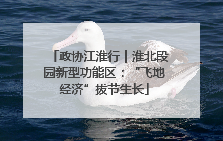 政协江淮行｜淮北段园新型功能区：“飞地经济”拔节生长