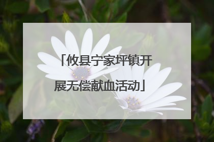 攸县宁家坪镇开展无偿献血活动