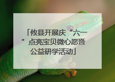 攸县开展庆“六一”点亮宝贝微心愿暨公益研学活动