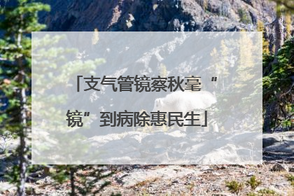 支气管镜察秋毫“镜”到病除惠民生