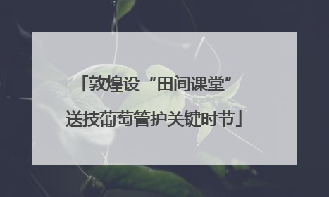 敦煌设“田间课堂” 送技葡萄管护关键时节