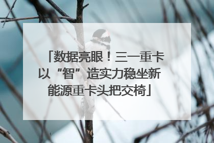 数据亮眼！三一重卡以“智”造实力稳坐新能源重卡头把交椅