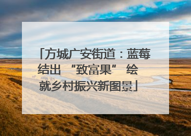 方城广安街道：蓝莓结出 “致富果” 绘就乡村振兴新图景