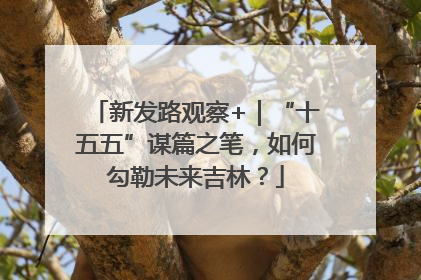 新发路观察+｜“十五五”谋篇之笔，如何勾勒未来吉林？