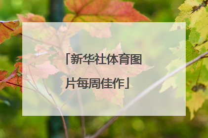新华社体育图片每周佳作