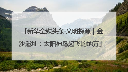 新华全媒头条·文明探源｜金沙遗址：太阳神鸟起飞的地方