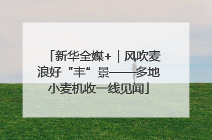 新华全媒+｜风吹麦浪好“丰”景——多地小麦机收一线见闻