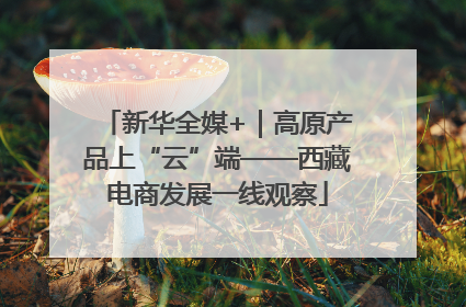新华全媒+｜高原产品上“云”端——西藏电商发展一线观察