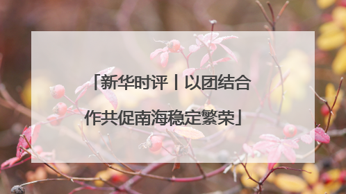 新华时评丨以团结合作共促南海稳定繁荣