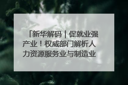 新华解码｜促就业强产业！权威部门解析人力资源服务业与制造业融合发展试点