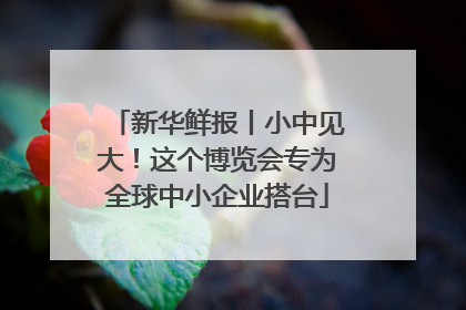 新华鲜报丨小中见大！这个博览会专为全球中小企业搭台