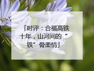时评：合福高铁十年，山河间的“铁”骨柔情