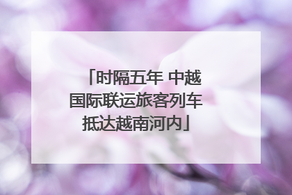 时隔五年 中越国际联运旅客列车抵达越南河内