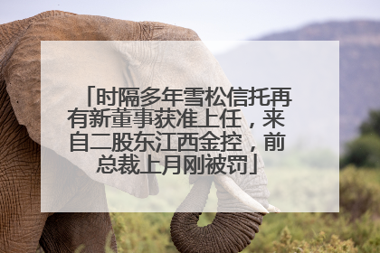 时隔多年雪松信托再有新董事获准上任，来自二股东江西金控，前总裁上月刚被罚