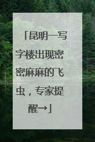 昆明一写字楼出现密密麻麻的飞虫，专家提醒→