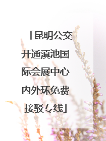 昆明公交开通滇池国际会展中心内外环免费接驳专线