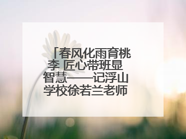 春风化雨育桃李 匠心带班显智慧——记浮山学校徐若兰老师的育人之路