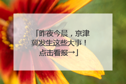 昨夜今晨，京津冀发生这些大事！点击看报→