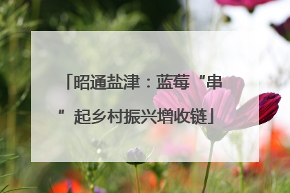 昭通盐津：蓝莓“串”起乡村振兴增收链