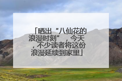 晒出“八仙花的浪漫时刻”，今天，不少读者将这份浪漫延续到家里