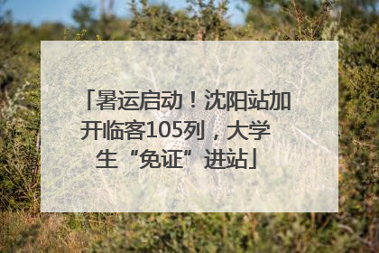 暑运启动！沈阳站加开临客105列，大学生“免证”进站