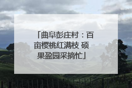曲阜彭庄村：百亩樱桃红满枝 硕果盈园采摘忙