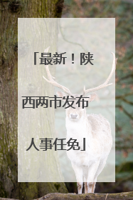 最新！陕西两市发布人事任免