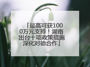 最高可获1000万元支持！湖南出台十项政策措施深化对德合作