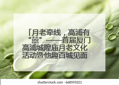 月老牵线，高浦有“囍”——首届厦门高浦城隍庙月老文化活动暨他趣百城见面会隆重举办