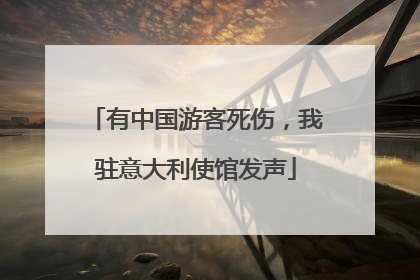 有中国游客死伤，我驻意大利使馆发声