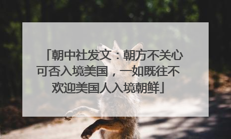 朝中社发文：朝方不关心可否入境美国，一如既往不欢迎美国人入境朝鲜