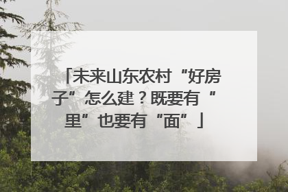 未来山东农村“好房子”怎么建？既要有“里”也要有“面”