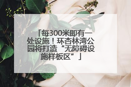 每300米即有一处设施！环杏林湾公园将打造“无障碍设施样板区”