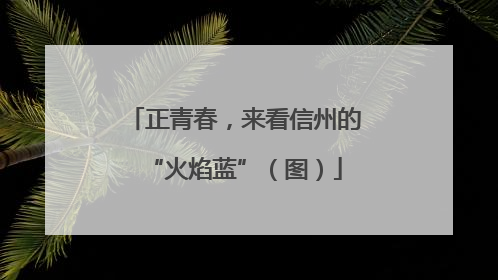 正青春，来看信州的“火焰蓝”（图）