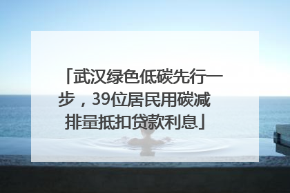 武汉绿色低碳先行一步，39位居民用碳减排量抵扣贷款利息