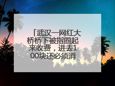 武汉一网红大桥桥下被指圈起来收费，进去100块还必须消费？当地回应