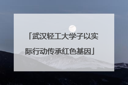 武汉轻工大学子以实际行动传承红色基因